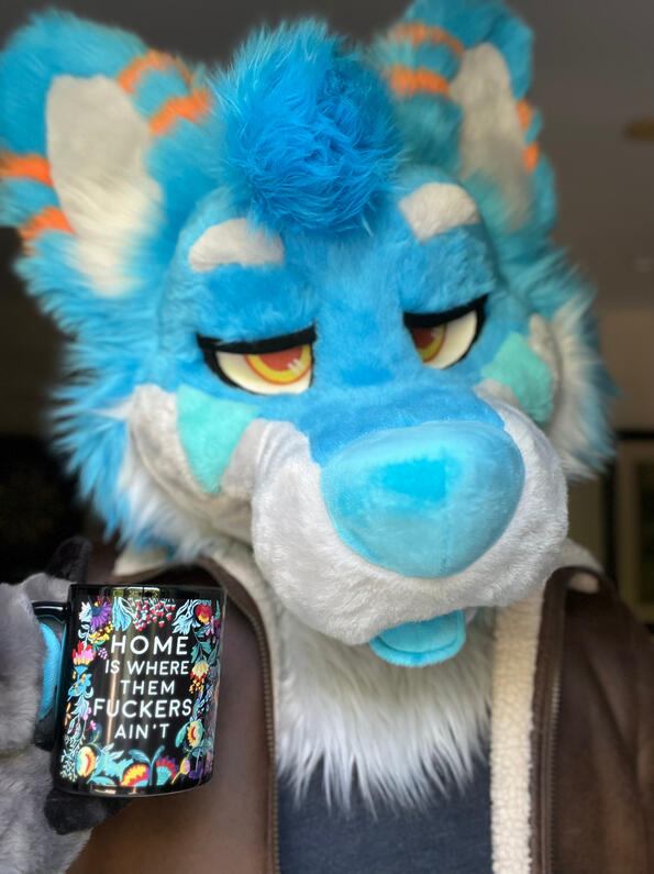 picture by: @Picton_Wolf (twitter)