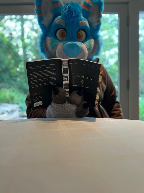 picture by: @Picton_Wolf (twitter)