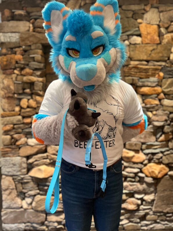 picture by: @Picton_Wolf (twitter)