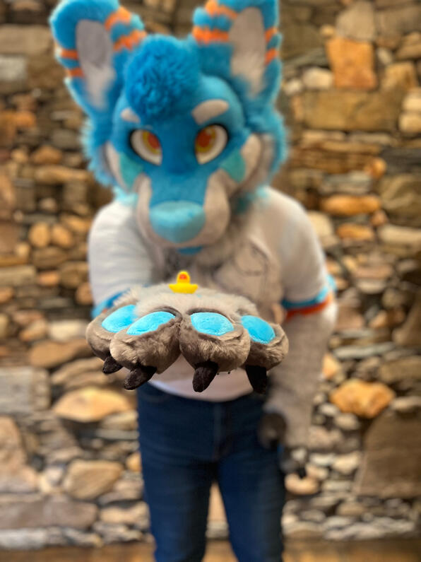 picture by: @Picton_Wolf (twitter)