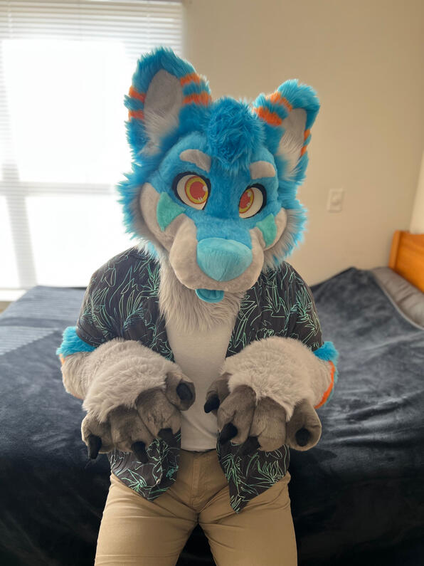 picture by: @Picton_Wolf (twitter)