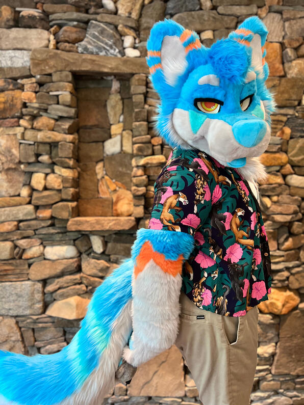 picture by: @Picton_Wolf (twitter)