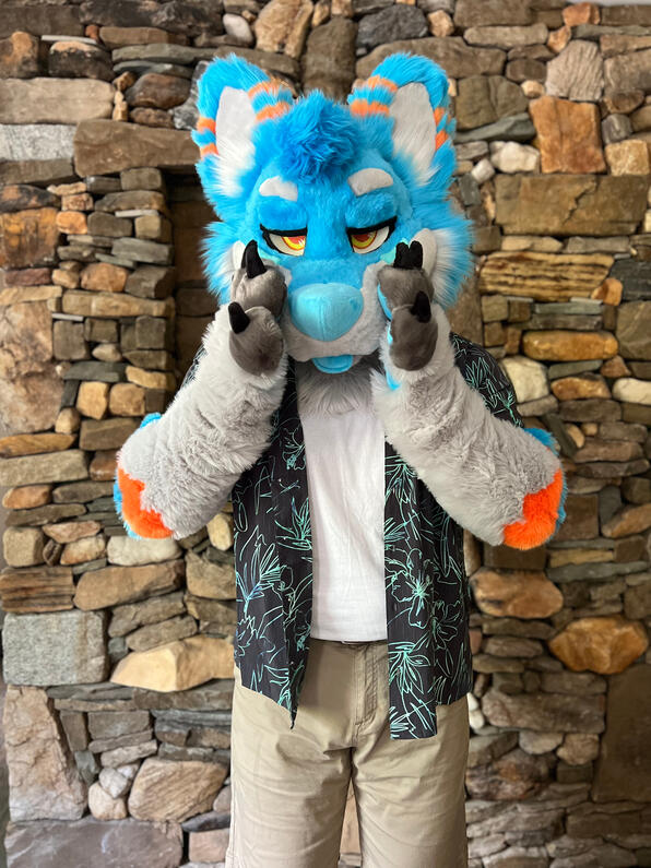 picture by: @Picton_Wolf (twitter)