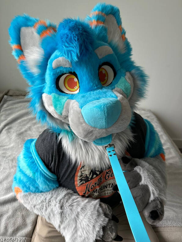 picture by: @BRKSHDW (twitter)