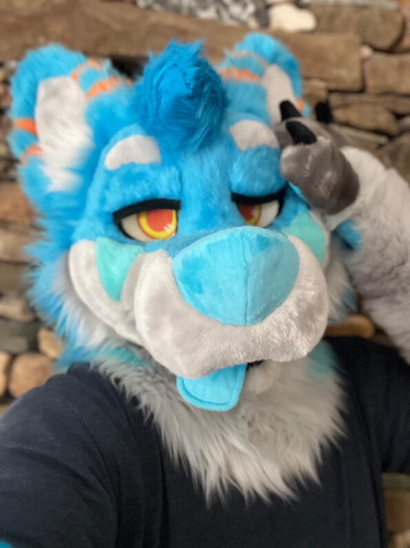 picture by: @Picton_Wolf (twitter)