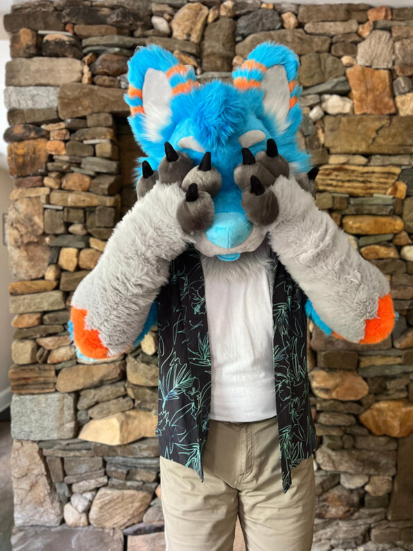 picture by: @Picton_Wolf (twitter)