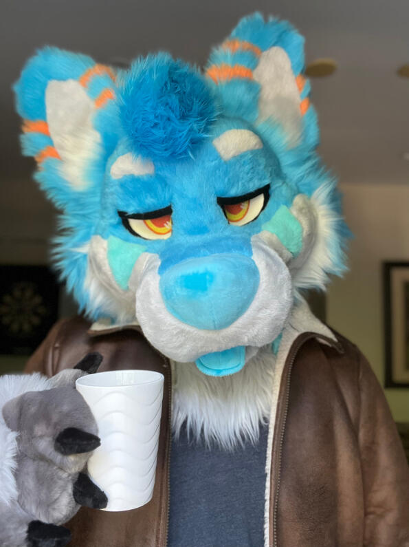 picture by: @Picton_Wolf (twitter)