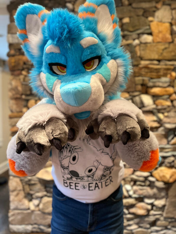 picture by: @Picton_Wolf (twitter)