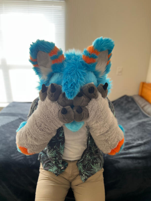 picture by: @Picton_Wolf (twitter)