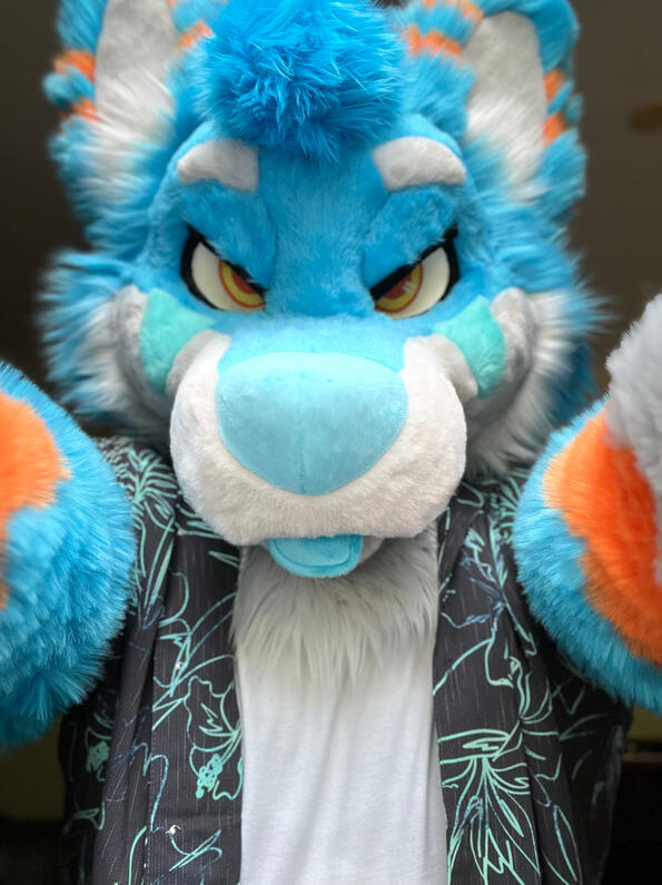 picture by: @Picton_Wolf (twitter)