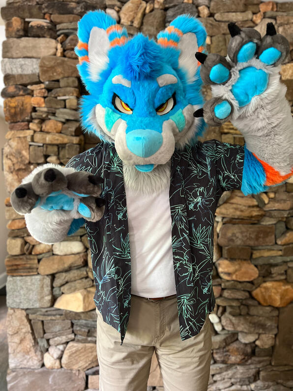 picture by: @Picton_Wolf (twitter)