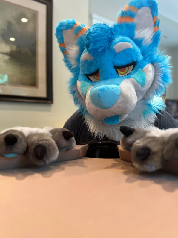 picture by: @Picton_Wolf (twitter)