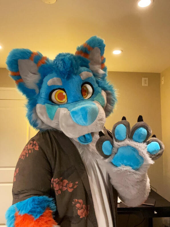 picture by: @Picton_Wolf (twitter)