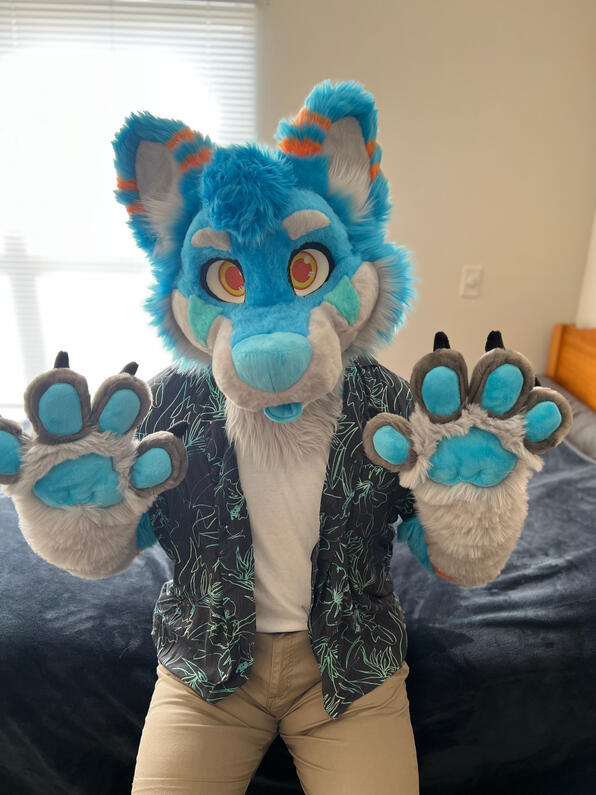 picture by: @Picton_Wolf (twitter)