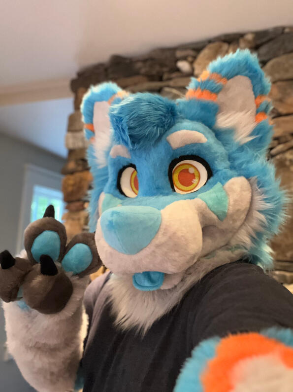 picture by: @Picton_Wolf (twitter)