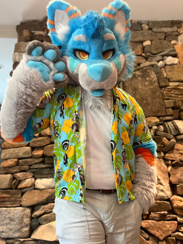 picture by: @Picton_Wolf (twitter)