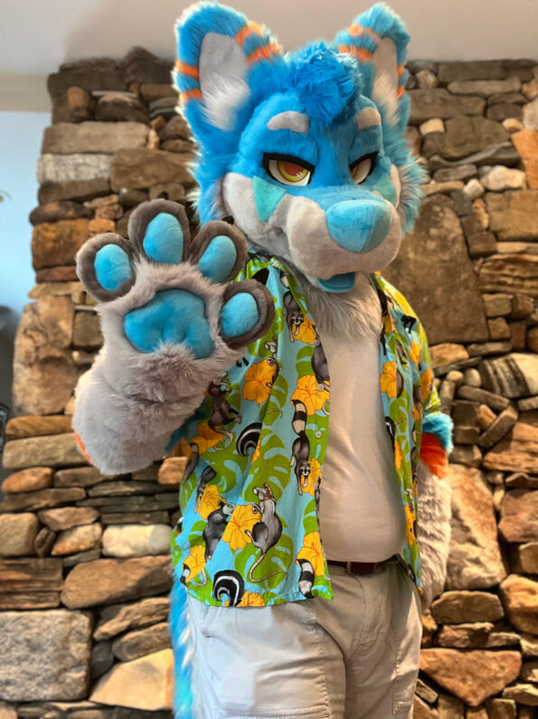 picture by: @Picton_Wolf (twitter)