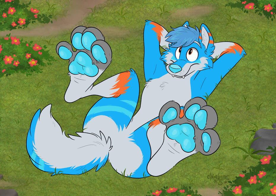 🎨: @clairebearart