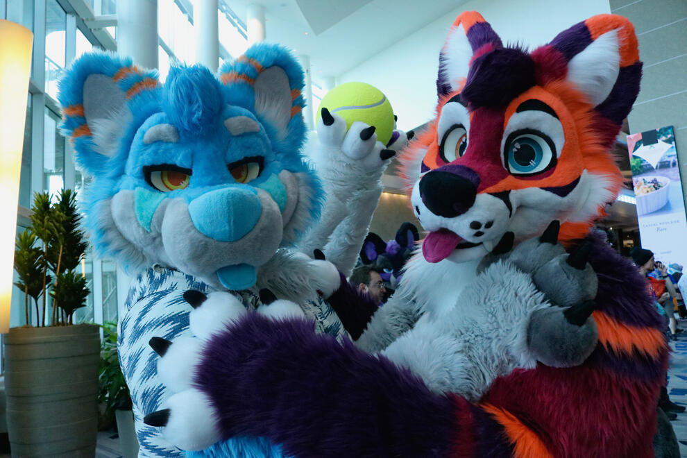 photo by: @SolasLion