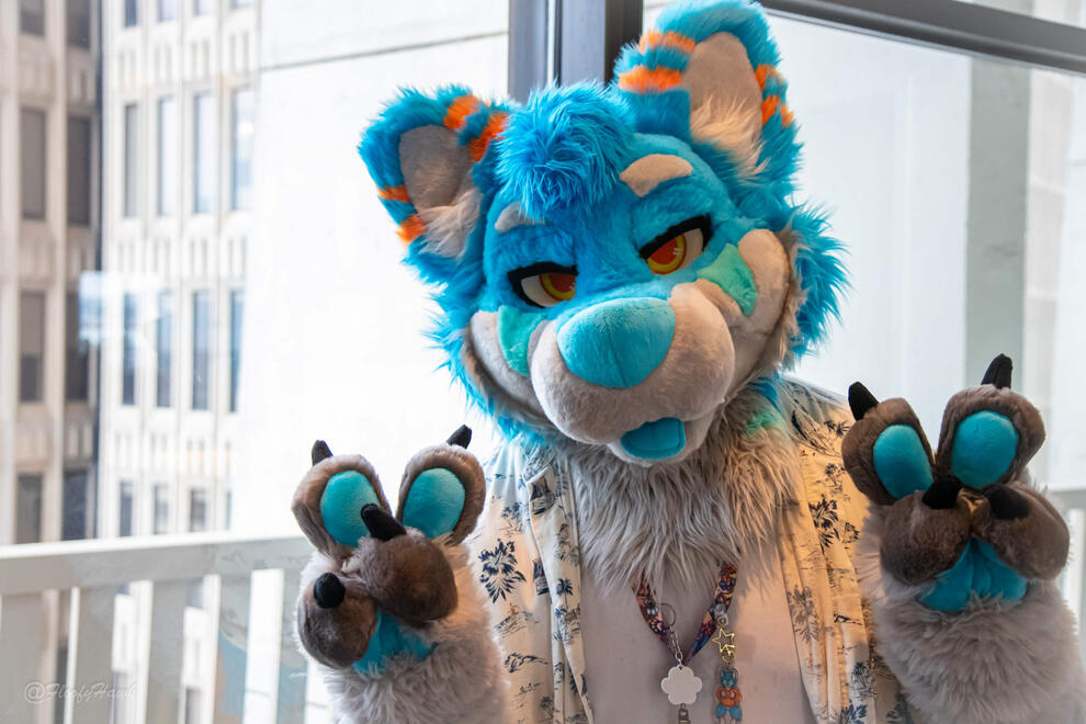 photo by: @FloofyHawk