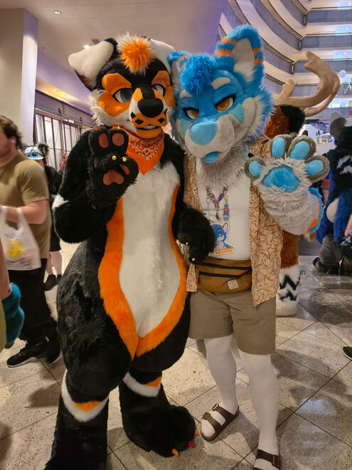 photo by: @ReggCoyote