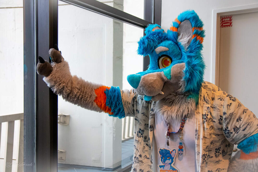 photo by: @FloofyHawk