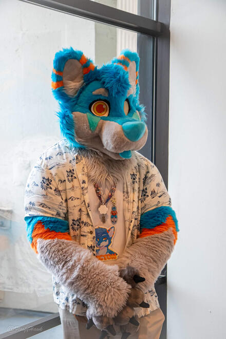 photo by: @FloofyHawk